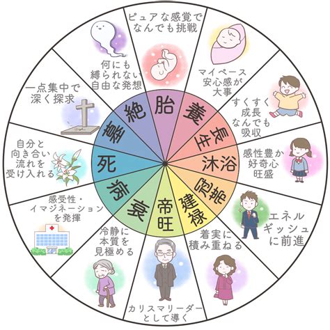 長生十二運|四柱推命｜十二運の長生（ちょうせい）とは？性格・適職・恋愛 